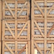 proton_marble_split_face (15)